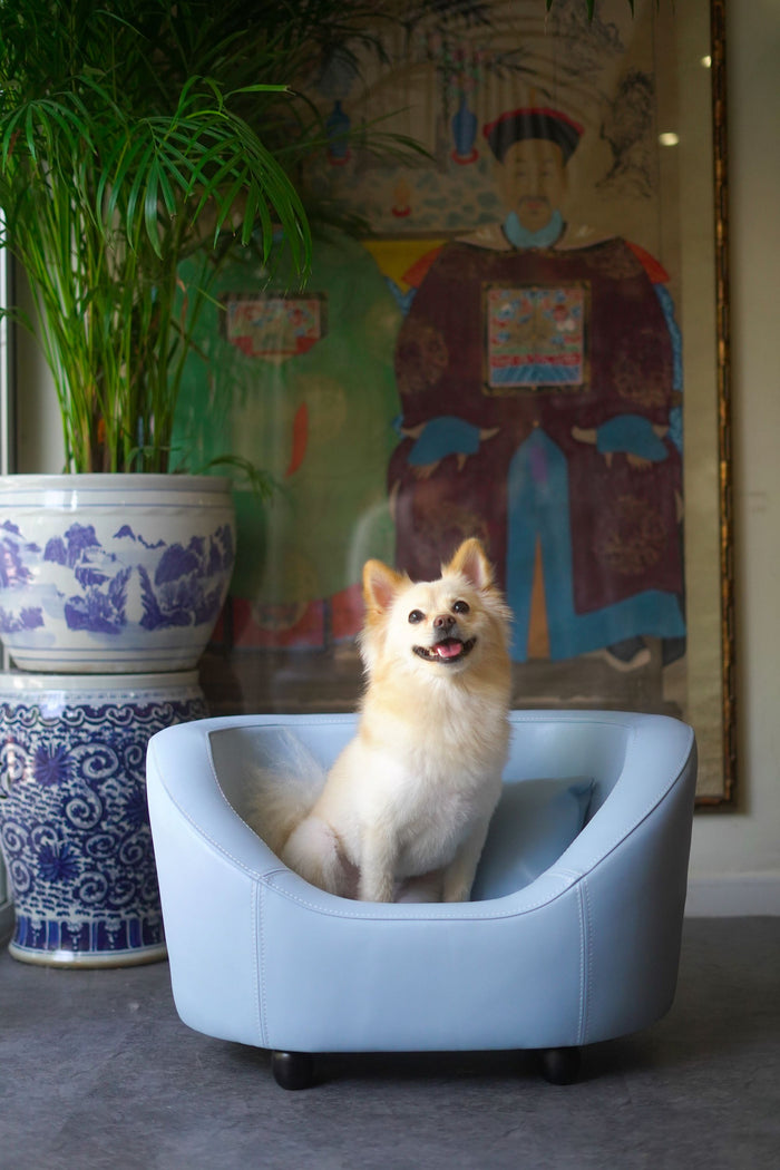 Light Blue Dog Cabriole Sofa