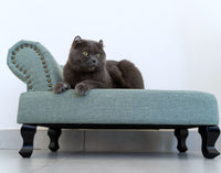 Cat Divan Green Sofa